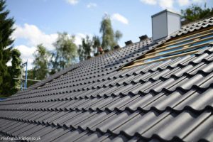 Roof Replacement Cost