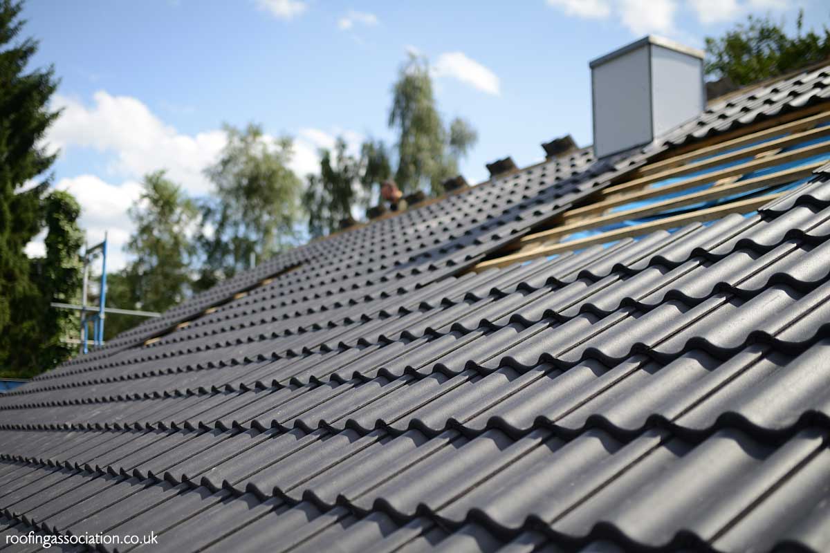 Roof Replacement Cost